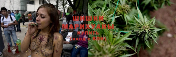 амф Верея