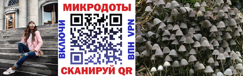 Псилоцибиновые грибы GOLDEN TEACHER  Купить  Малмыж 